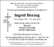 eine Anzeige