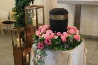 das zu meldende Bild